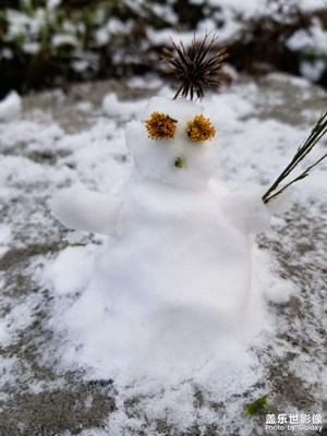 補(bǔ)發(fā)成都的雪