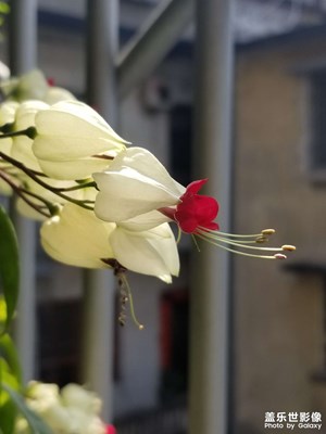 沒(méi)有一個(gè)春天不會(huì)到來(lái)