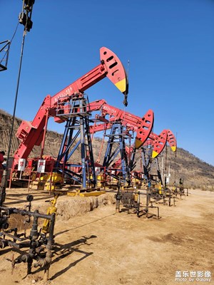 【光影記】荒山上的美