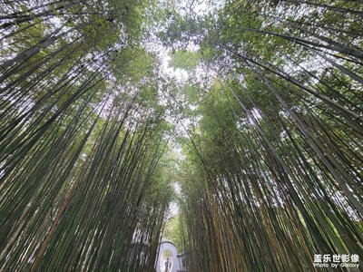 【遇見美好】+生活隨拍