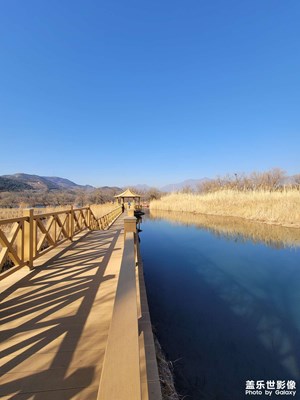 濕地公園，N20U隨手拍