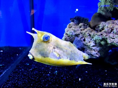 重慶漢海海洋公園