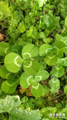 春天要來了！