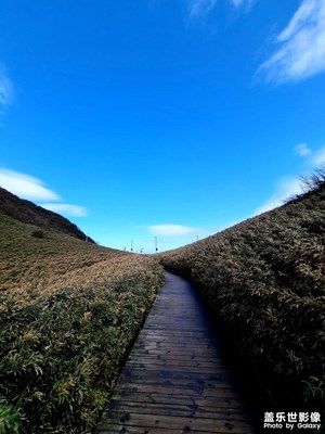 重慶南川區(qū)金佛山一日游