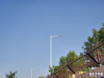 一些日常拍攝 Galaxy S10＋