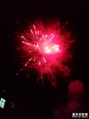 【福致新春】新年煙花