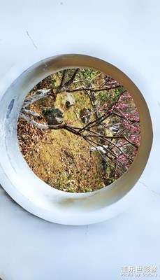 你好，早春色彩！