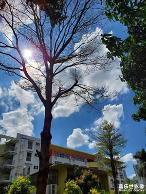 大年初一，春意盎然