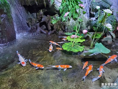 新年新氣象