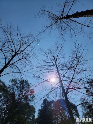 大自然是最棒的調(diào)色師??????