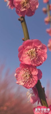 看看拍的怎么樣，求指點(diǎn)