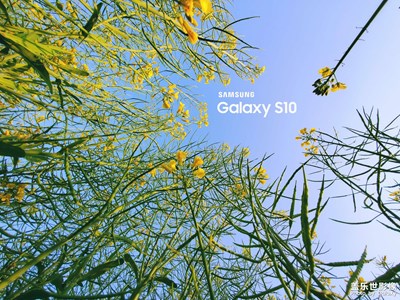 春來來了，由S10拍攝....