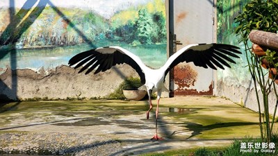 假期，無技巧日常拍