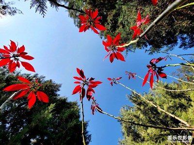 人說大理好風(fēng)光