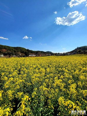 小城故事~陌上花開(kāi)