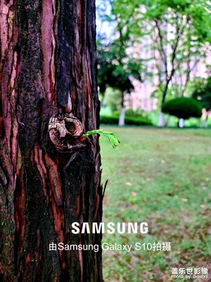 我也來一組圖片看看效果