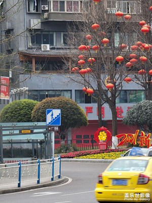 變焦隨拍對(duì)比