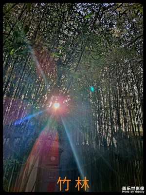 手機逆光拍攝能力挺強