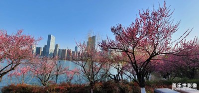 續(xù)：夜色天鵝湖