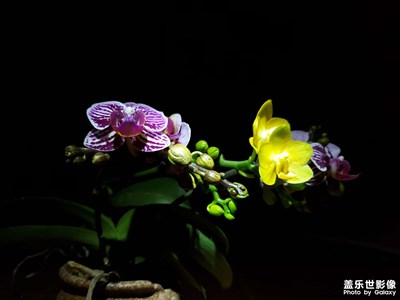 節(jié)日快樂(lè)！