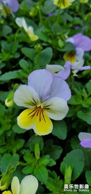 【光影魅力】+美好晴天