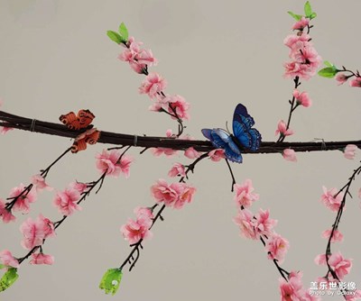 稍微用心，生活中的美隨處可見(jiàn)。