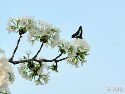 【光影魅力】+記錄生活