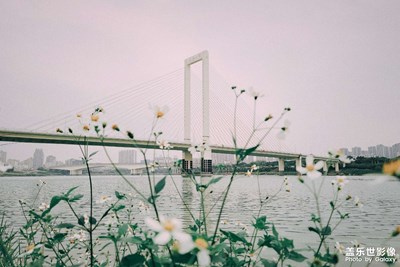 ??陰天， 關于白沙大橋旁
，可能從來不會去觀察的事