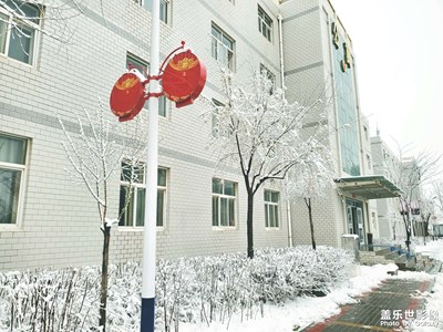 認(rèn)真的雪