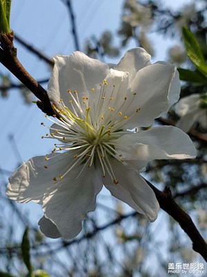 中國重慶－彩云湖濕地公園