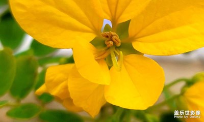 【生活隨手拍20210322】