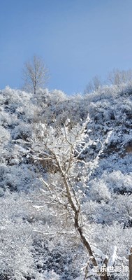 【周末拍點(diǎn)啥】+亂七八糟拍