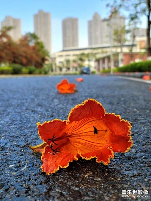 【生活隨手拍20210324】