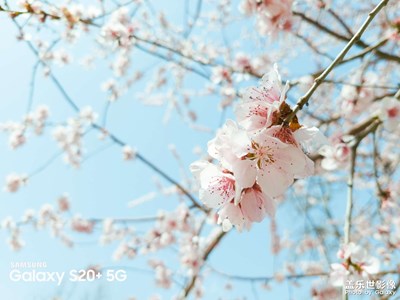 公園轉(zhuǎn)轉(zhuǎn)