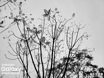 ＃星鮮創(chuàng)造營＃生活隨拍