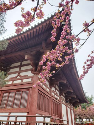 花有重開日，人無再少年！