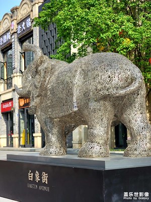 每周一更：一條白象街，半部重慶史