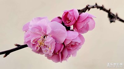 隨拍