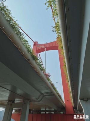 江邊一景。