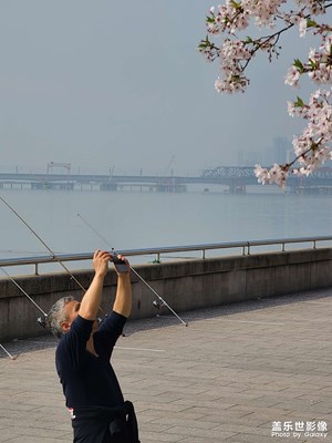 江邊春色美如畫