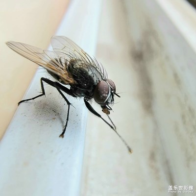 又趕上一只配合的????