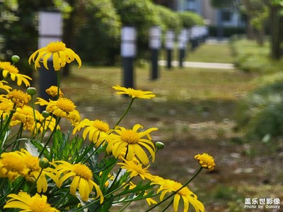 10倍光學變焦拍照
