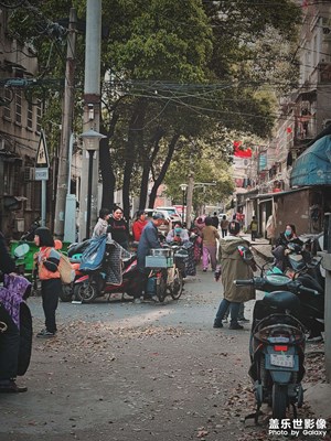 【新春星色彩】隨“星”而拍，隨“星”所見(jiàn)