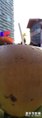 每日一椰及上午的活動(dòng)