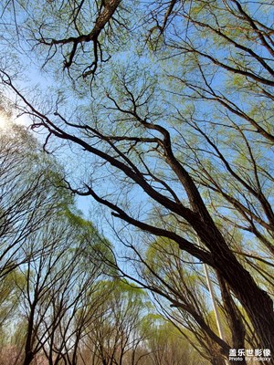 【新春星色彩】+春天來了