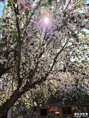 不負(fù)這大好春光