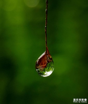 【角度與視覺】+潤潔玉滴