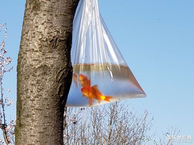 春天是個好季節(jié)