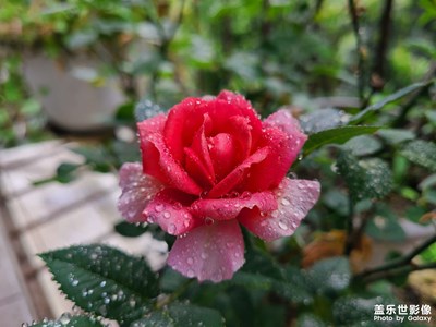 贊天地之化育，孕萬物而自得…