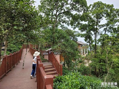 浦北家鄉(xiāng)